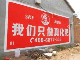 全南刷墙广告”蕴含了时代命题