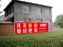 全南如何让墙体广告展现最大化效果