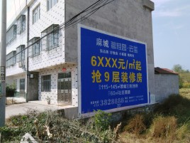 全南墙体广告质量分析