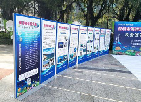 全南KT板的种类和知识。